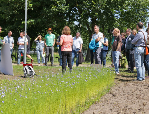 LiD-Parzellentag am 11. Juni 2025